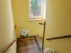 Prodej rodinného domu, Písek - Budějovické Předměstí, Kocínova, 300 m2