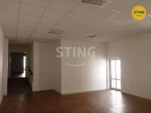 Pronájem skladu, Ostrava - Přívoz, Nádražní, 115 m2