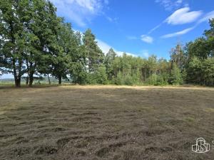 Prodej pozemku, Cheb, 3887 m2