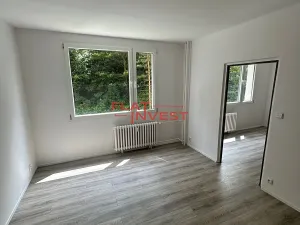 Pronájem bytu 1+1, Desná, Poštovní, 42 m2