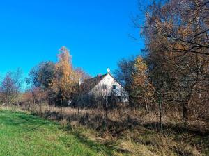 Prodej rodinného domu, Třemešná - Rudíkovy, 2531 m2