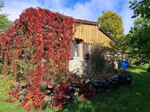 Prodej rodinného domu, Lovečkovice - Náčkovice, Náčkovice, 230 m2