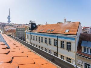Prodej komerční nemovitosti, Praha - Žižkov, Chlumova, 420 m2