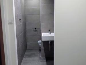 Pronájem bytu 1+1, Frýdek-Místek, Mozartova, 36 m2