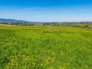 Prodej pozemku pro bydlení, Kaplice - Mostky, 698 m2