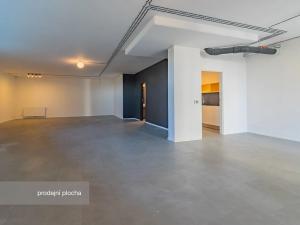 Pronájem obchodního prostoru, Praha - Nové Město, Lerausova, 92 m2