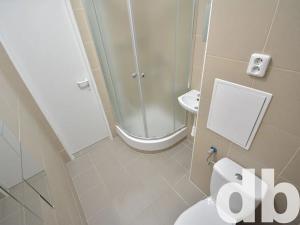 Pronájem bytu 1+kk, Nové Sedlo, Sadová, 20 m2