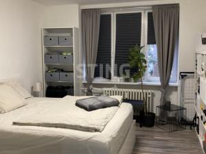 Pronájem bytu 2+kk, Opava, U Fortny, 62 m2