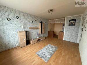 Prodej bytu 2+kk, Litvínov - Janov, Kopistská, 40 m2