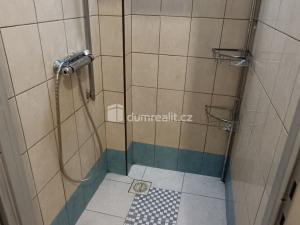 Pronájem bytu 2+1, Děčín - Děčín VII-Chrochvice, Vilsnická, 70 m2