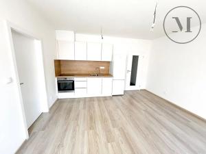 Pronájem bytu 2+kk, České Budějovice, Nová, 47 m2