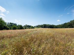 Prodej pole, Huntířov - Stará Oleška, 8980 m2