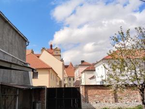 Prodej rodinného domu, Horšovský Týn, Žižkova, 517 m2