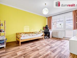 Pronájem bytu 2+1, Ostrov, Lidická, 62 m2