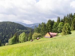 Prodej chalupy, Pec pod Sněžkou, 360 m2