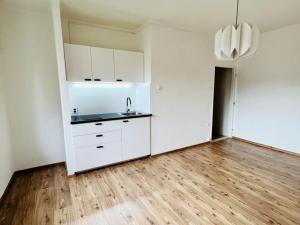 Pronájem bytu 1+kk, Teplice, Svojsíkova, 23 m2