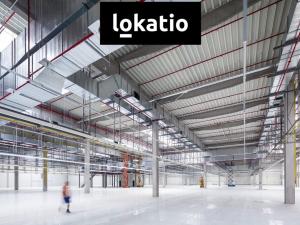 Pronájem skladu, Ovčáry, 3500 m2