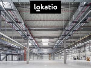 Pronájem skladu, Ovčáry, 10500 m2