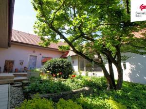 Prodej vícegeneračního domu, Pavlov - Stajiště, 250 m2