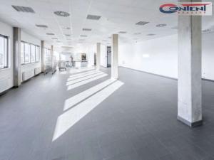 Pronájem výrobních prostor, Prostějov, Průmyslová, 4000 m2