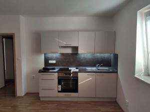 Pronájem bytu 1+kk, Ostrava, Ráčkova, 32 m2