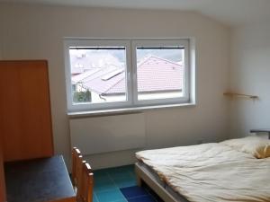 Pronájem bytu 1+kk, Staňkovice, Zahradní, 20 m2