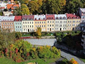 Prodej bytu 2+1, Karlovy Vary, Nebozízek, 62 m2