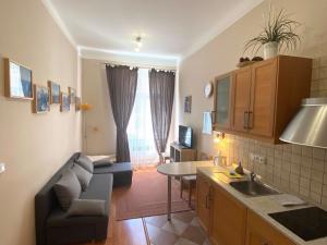 Prodej bytu 2+kk, Karlovy Vary, Zámecký vrch, 90 m2