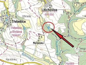 Prodej lesa, Litichovice, 5963 m2