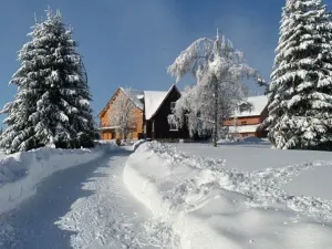 Prodej rodinného domu, Janské Lázně, Janská, 100 m2