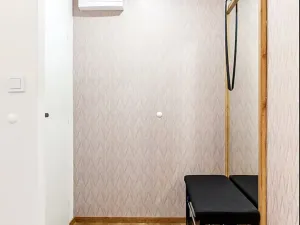 Pronájem bytu 1+kk, Praha - Staré Město, Dlouhá, 38 m2