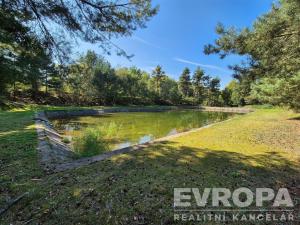 Prodej pozemku pro bydlení, Uhlířská Lhota - Rasochy, 664 m2