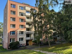 Pronájem bytu 1+1, Litvínov - Horní Litvínov, Tylova, 37 m2