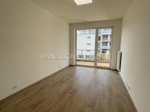 Pronájem bytu 2+kk, České Budějovice, Branišovská, 53 m2