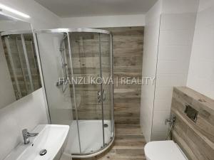 Pronájem bytu 2+kk, České Budějovice, Branišovská, 53 m2