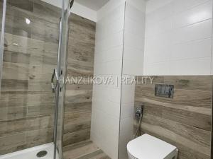 Pronájem bytu 2+kk, České Budějovice, Branišovská, 53 m2