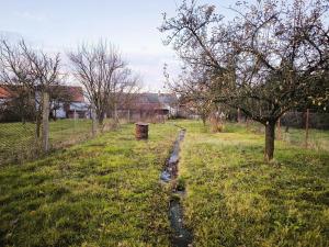 Prodej rodinného domu, Toužetín, 288 m2