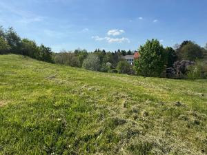 Prodej pozemku pro bydlení, Poříčí nad Sázavou, 1088 m2