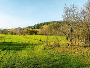 Prodej pozemku pro bydlení, Bušanovice, 33871 m2