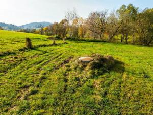 Prodej pozemku pro bydlení, Bušanovice, 33871 m2