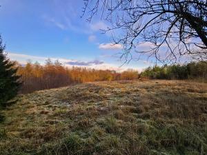 Prodej pozemku pro bydlení, Žandov, 3647 m2