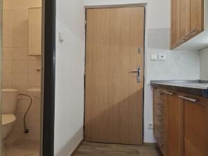 Pronájem bytu 1+kk, Brno - Líšeň, Jedovnická, 24 m2