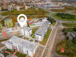 Pronájem bytu 2+kk, Plzeň, Goldscheiderova, 82 m2