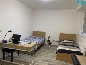 Prodej bytu 1+kk, Brno, Rumiště, 38 m2