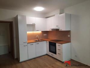 Pronájem bytu 2+kk, Kralupy nad Vltavou, Souběžná, 43 m2