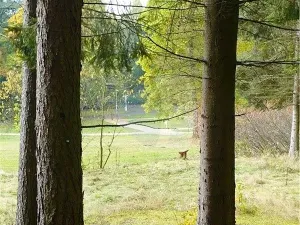 Prodej pozemku pro bydlení, Mariánské Lázně, Dobrovského, 1311 m2