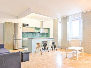 Pronájem bytu 1+kk, Brno - Královo Pole, Mojžíšova, 62 m2