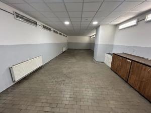 Prodej výrobních prostor, Česká Lípa, Dubická, 10000 m2