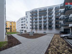 Pronájem bytu 1+kk, Olomouc, Wolkerova, 43 m2