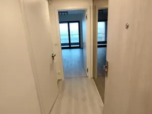 Pronájem bytu 1+kk, Praha - Žižkov, Šrámkové, 29 m2